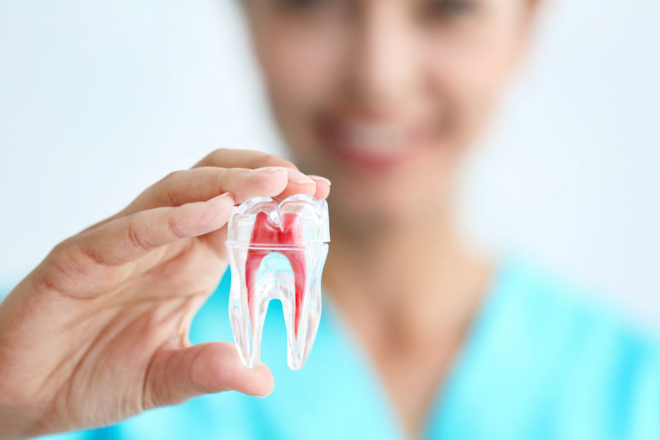 ENDODONTIA